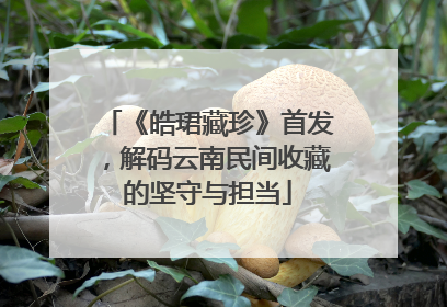 《皓珺藏珍》首发，解码云南民间收藏的坚守与担当