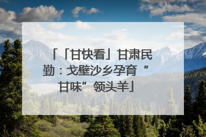 「甘快看」甘肃民勤：戈壁沙乡孕育“甘味”领头羊
