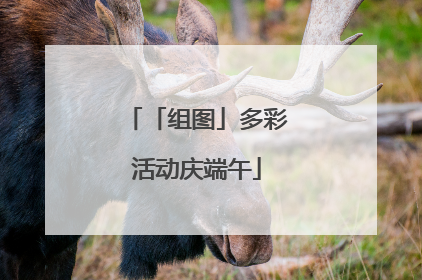 「组图」多彩活动庆端午