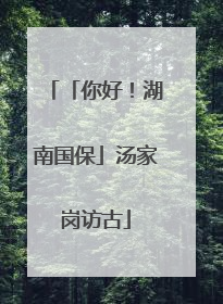 「你好！湖南国保」汤家岗访古
