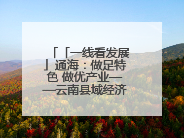 「一线看发展」通海：做足特色 做优产业——云南县域经济样本观察之二