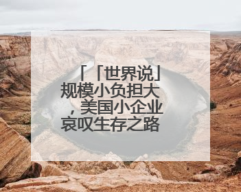 「世界说」规模小负担大，美国小企业哀叹生存之路因关税被堵