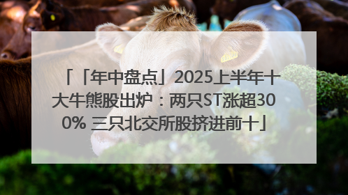 「年中盘点」2025上半年十大牛熊股出炉：两只ST涨超300% 三只北交所股挤进前十