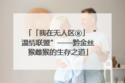 「我在无人区⑧」“温情联盟”——黔金丝猴雌猴的生存之道