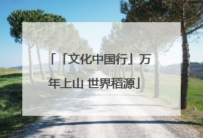 「文化中国行」万年上山 世界稻源