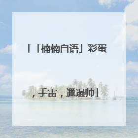 「楠楠自语」彩蛋，手雷，邋遢帅