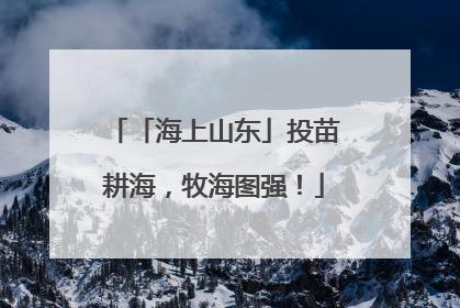 「海上山东」投苗耕海，牧海图强！