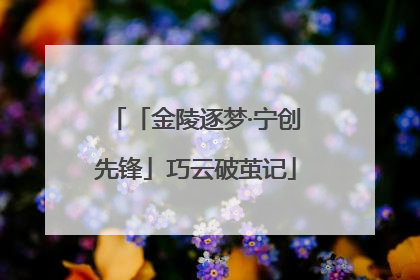 「金陵逐梦·宁创先锋」巧云破茧记