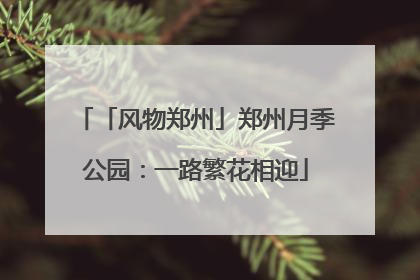 「风物郑州」郑州月季公园：一路繁花相迎