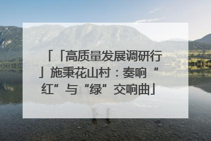 「高质量发展调研行」施秉花山村：奏响“红”与“绿”交响曲