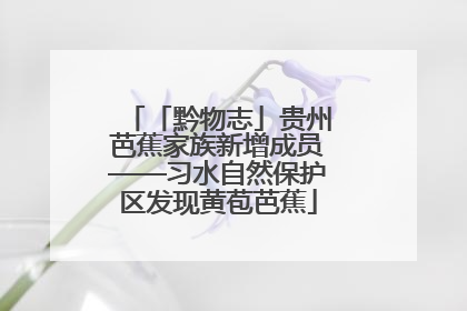 「黔物志」贵州芭蕉家族新增成员——习水自然保护区发现黄苞芭蕉