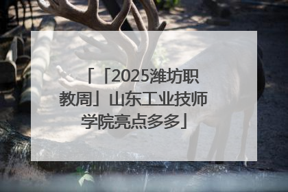 「2025潍坊职教周」山东工业技师学院亮点多多
