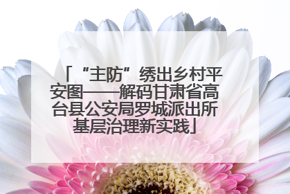 “主防”绣出乡村平安图——解码甘肃省高台县公安局罗城派出所基层治理新实践
