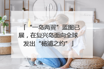 “一岛两翼”蓝图已展，在复兴岛面向全球发出“杨浦之约”