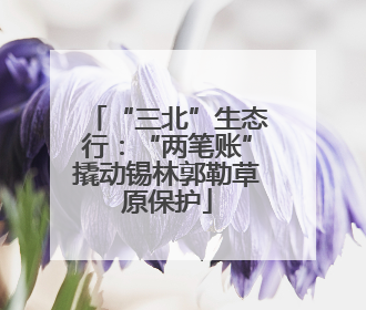 “三北”生态行：“两笔账”撬动锡林郭勒草原保护