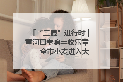 “三夏”进行时｜黄河口奏响丰收乐章——全市小麦进入大面积收获高峰期
