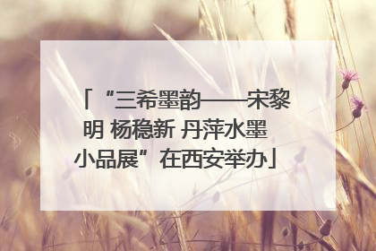 “三希墨韵——宋黎明 杨稳新 丹萍水墨小品展”在西安举办