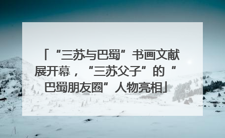 “三苏与巴蜀”书画文献展开幕，“三苏父子”的“巴蜀朋友圈”人物亮相
