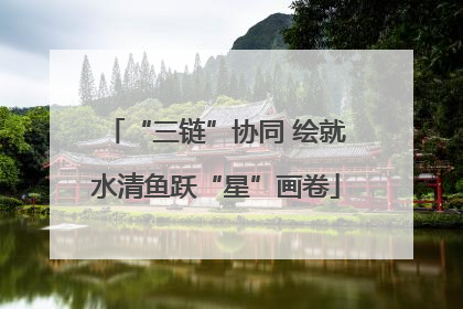 “三链”协同 绘就水清鱼跃“星”画卷