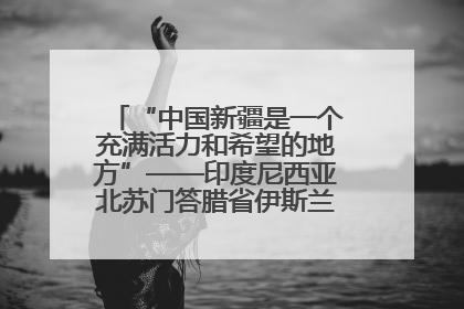 “中国新疆是一个充满活力和希望的地方”——印度尼西亚北苏门答腊省伊斯兰教代表团参访新疆