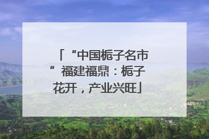“中国栀子名市”福建福鼎：栀子花开，产业兴旺
