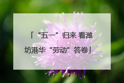 “五一”归来 看潍坊港华“劳动”答卷