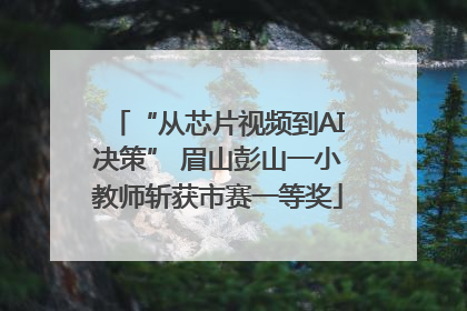 “从芯片视频到AI决策” 眉山彭山一小教师斩获市赛一等奖