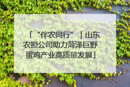 “伴农同行”｜山东农担公司助力菏泽巨野蛋鸡产业高质量发展