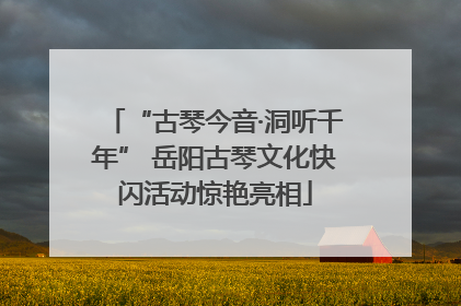 “古琴今音·洞听千年” 岳阳古琴文化快闪活动惊艳亮相