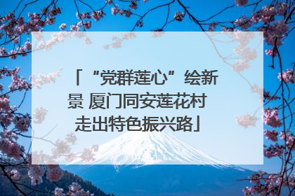 “党群莲心”绘新景 厦门同安莲花村走出特色振兴路