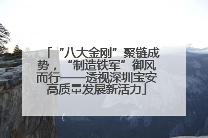 “八大金刚”聚链成势，“制造铁军”御风而行——透视深圳宝安高质量发展新活力