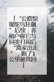 “公路惊现鸵鸟狂飙”后续：养殖户称它与同类打闹后“离家出走”，跑了1公里被找回
