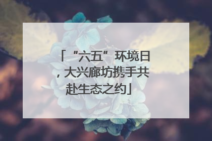 “六五”环境日，大兴廊坊携手共赴生态之约