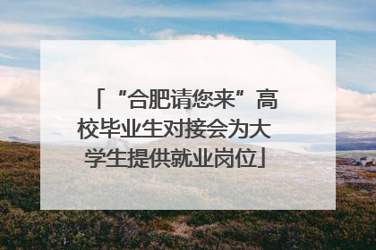 “合肥请您来”高校毕业生对接会为大学生提供就业岗位