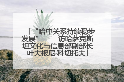 “哈中关系持续稳步发展”——访哈萨克斯坦文化与信息部副部长叶夫根尼·科切托夫