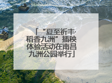 “夏至祈丰·稻香九洲”插秧体验活动在南昌九洲公园举行