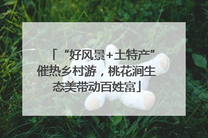 “好风景+土特产”催热乡村游，桃花涧生态美带动百姓富