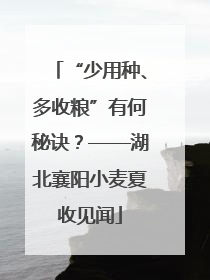 “少用种、多收粮”有何秘诀？——湖北襄阳小麦夏收见闻