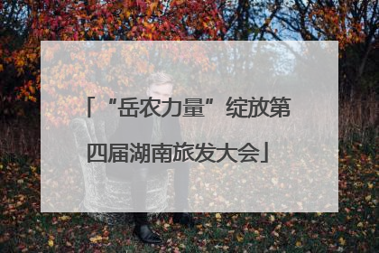 “岳农力量”绽放第四届湖南旅发大会