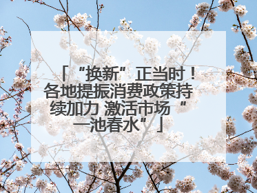 “换新”正当时！各地提振消费政策持续加力 激活市场“一池春水”