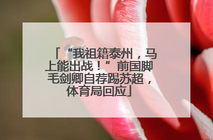 “我祖籍泰州，马上能出战！”前国脚毛剑卿自荐踢苏超，体育局回应