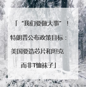 “我们要做大事”！特朗普公布政策目标：美国要造芯片和坦克 而非T恤袜子