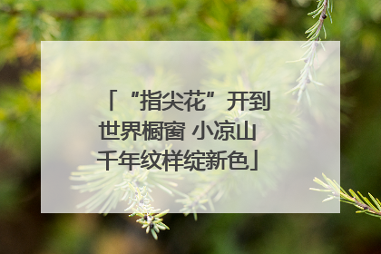 “指尖花”开到世界橱窗 小凉山千年纹样绽新色