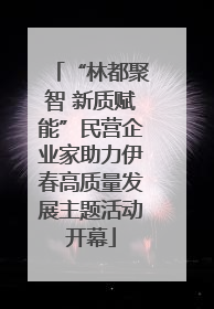 “林都聚智 新质赋能”民营企业家助力伊春高质量发展主题活动开幕