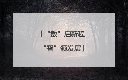 “数”启新程 “智”领发展