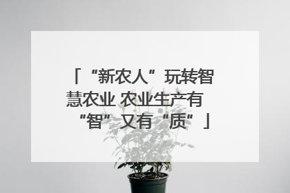 “新农人”玩转智慧农业 农业生产有“智”又有“质”