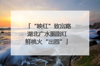 “映红”致富路 湖北广水胭脂红鲜桃火“出圈”