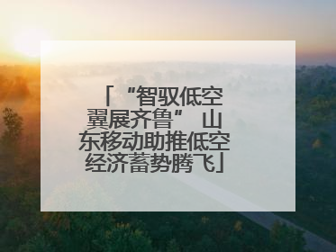 “智驭低空 翼展齐鲁” 山东移动助推低空经济蓄势腾飞