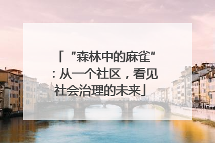“森林中的麻雀”：从一个社区，看见社会治理的未来