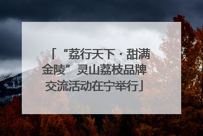 “荔行天下・甜满金陵”灵山荔枝品牌交流活动在宁举行